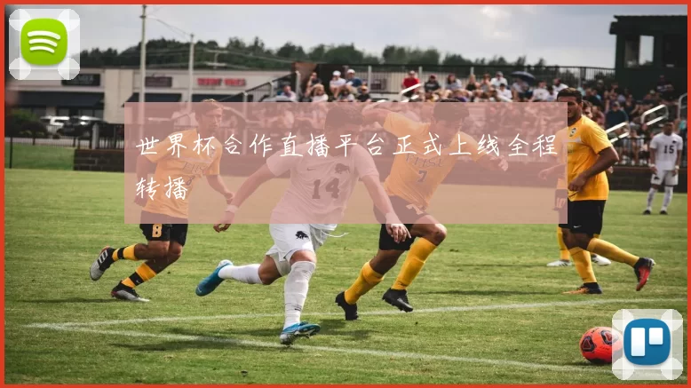 世界杯合作直播平台正式上线全程转播