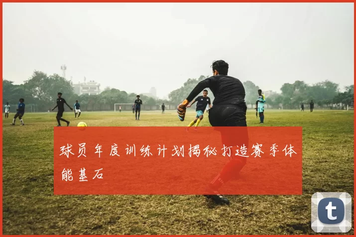 球员年度训练计划揭秘打造赛季体能基石