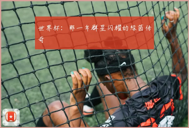 世界杯:那一年群星闪耀的绿茵传奇