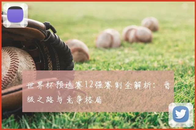 世界杯预选赛12强赛制全解析：晋级之路与竞争格局