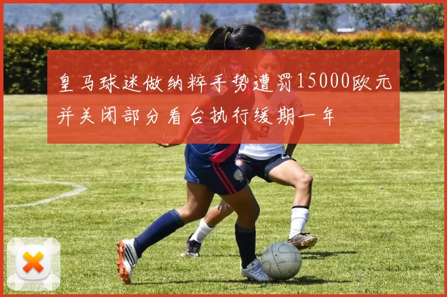 皇马球迷做纳粹手势遭罚15000欧元并关闭部分看台执行缓期一年