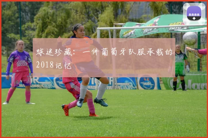 球迷珍藏:一件葡萄牙队服承载的2018记忆