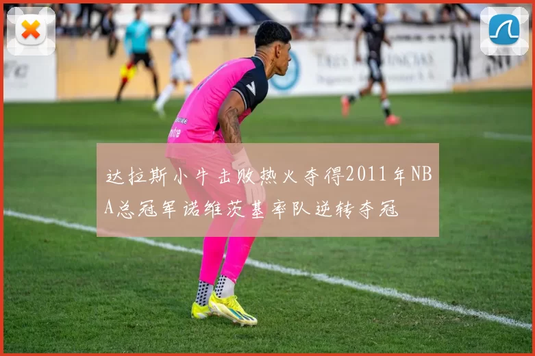 达拉斯小牛击败热火夺得2011年NBA总冠军诺维茨基率队逆转夺冠