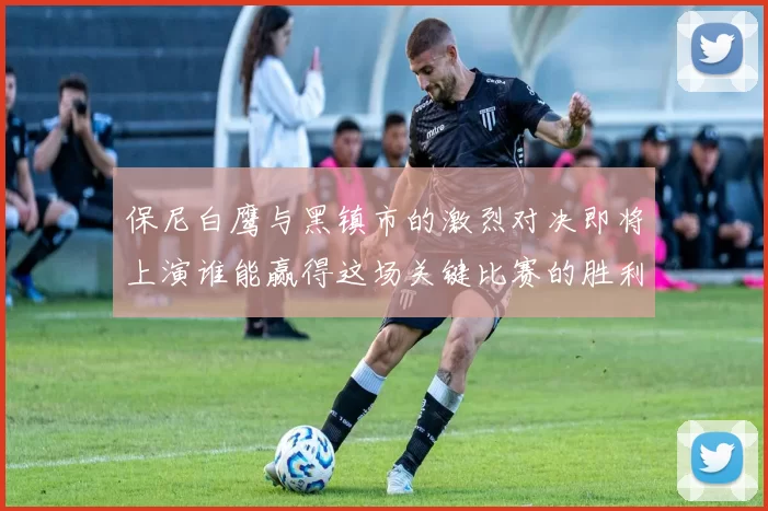 保尼白鹰与黑镇市的激烈对决即将上演谁能赢得这场关键比赛的胜利
