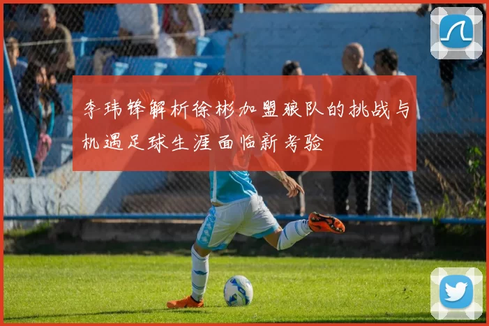 李玮锋解析徐彬加盟狼队的挑战与机遇足球生涯面临新考验