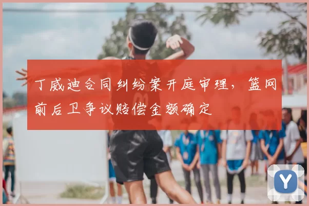 丁威迪合同纠纷案开庭审理,篮网前后卫争议赔偿金额确定