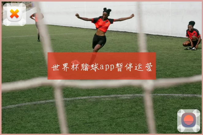 世界杯赌球app暂停运营