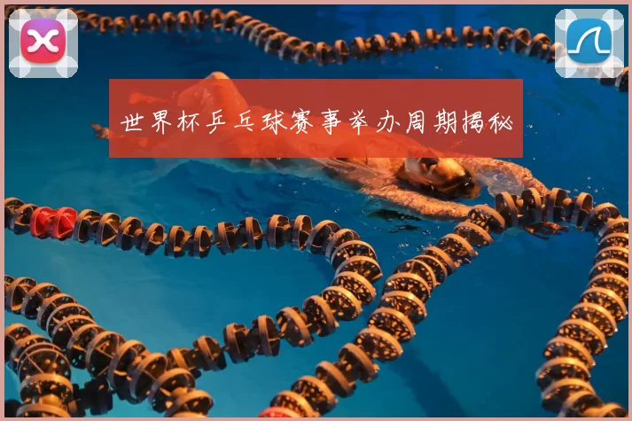 世界杯乒乓球赛事举办周期揭秘