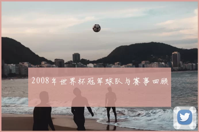 2008年世界杯冠军球队与赛事回顾