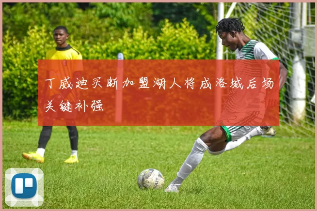 丁威迪买断加盟湖人将成洛城后场关键补强