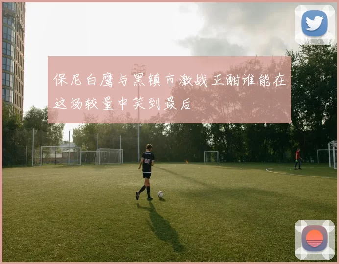 保尼白鹰与黑镇市激战正酣谁能在这场较量中笑到最后