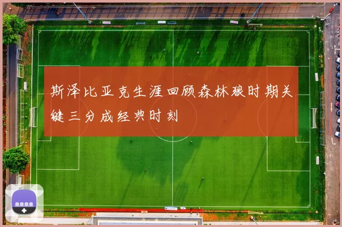斯泽比亚克生涯回顾森林狼时期关键三分成经典时刻