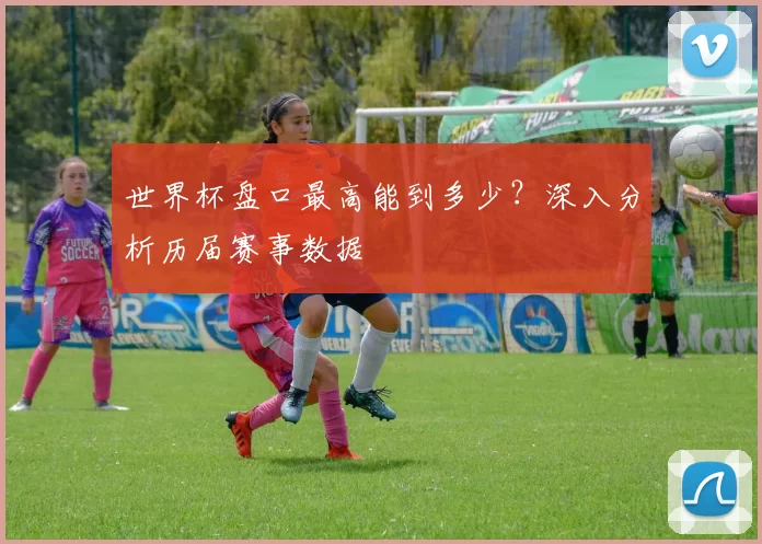 世界杯盘口最高能到多少？深入分析历届赛事数据