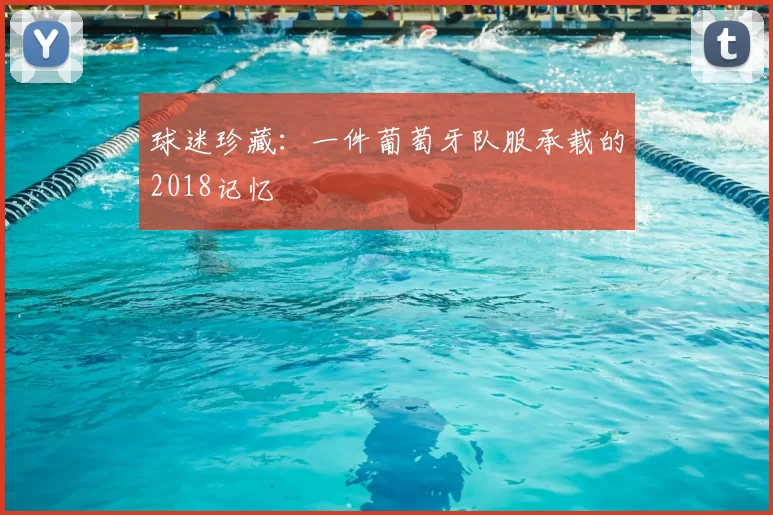 球迷珍藏:一件葡萄牙队服承载的2018记忆